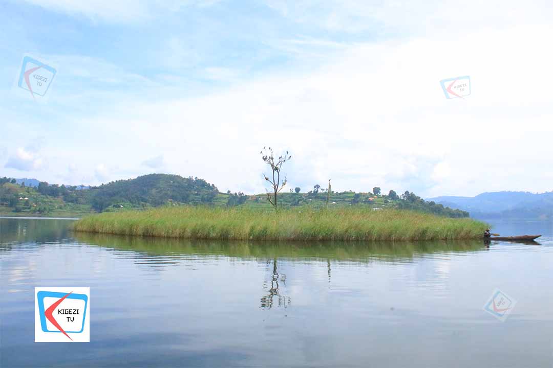 KigeziTv's tweet image. #HappeningNow

Rubanda Woman MP-elect Hon. Evenlyne Ninsiima Kikafunda, accompanied by Obed Kitabutuka and Francine Turyazayo, has traveled by boat across Lake Bunyonyi to reach Mugyera Town Council for a one-day dental camp.
@EvelyneNinsiim1