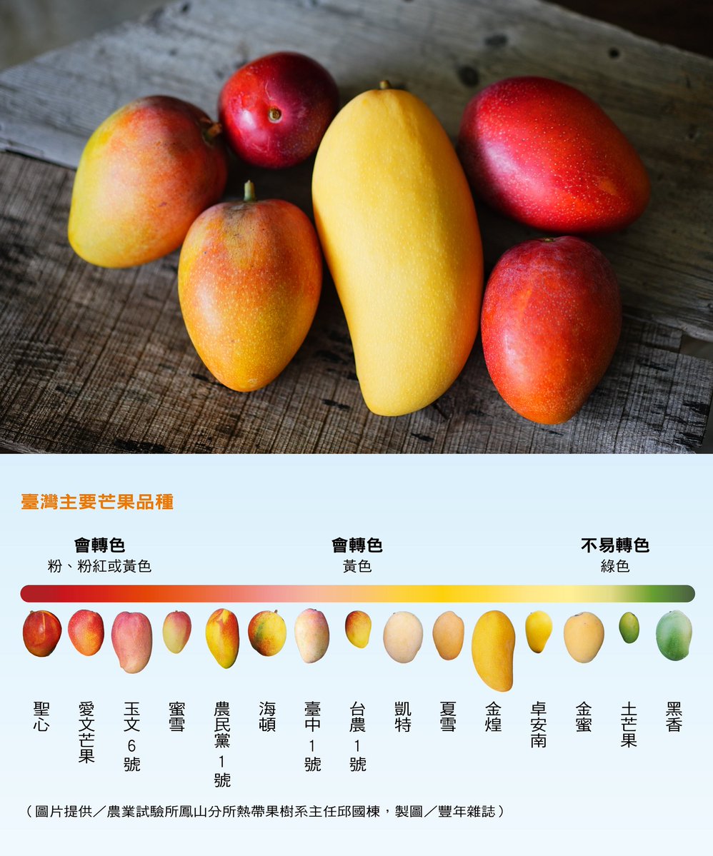 村人C tweet media