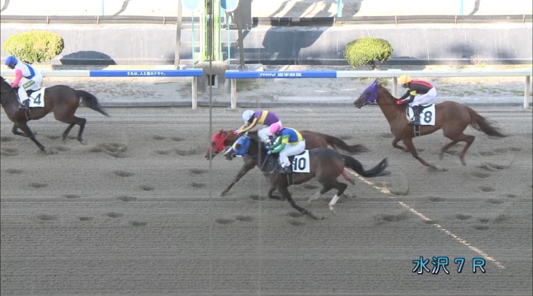 花だい tweet media