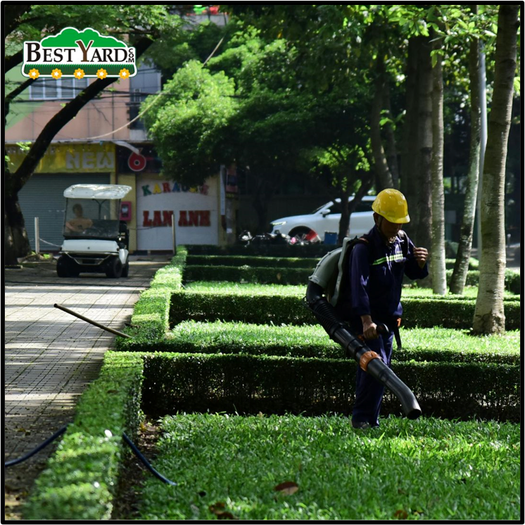 bestyardcom's tweet photo. Keep your outdoor space fresh, healthy, and beautiful with expert care. From lawn mowing to seasonal cleanups, we ensure your garden always looks its best. Know more - https://t.co/ix9j2MQDYx
#lawncare #healthylawn #gardenmaintenance #greengrass #gardening #bestyard https://t.co/zpzkLQHrmH