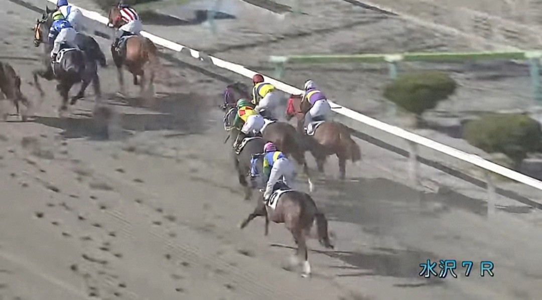 花だい tweet media