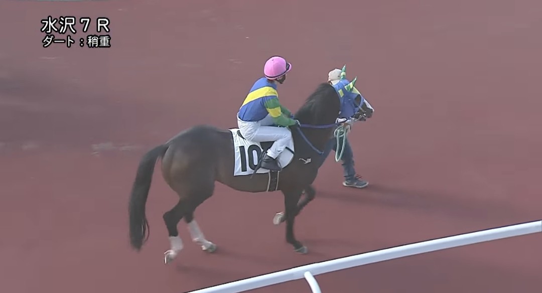 花だい tweet media