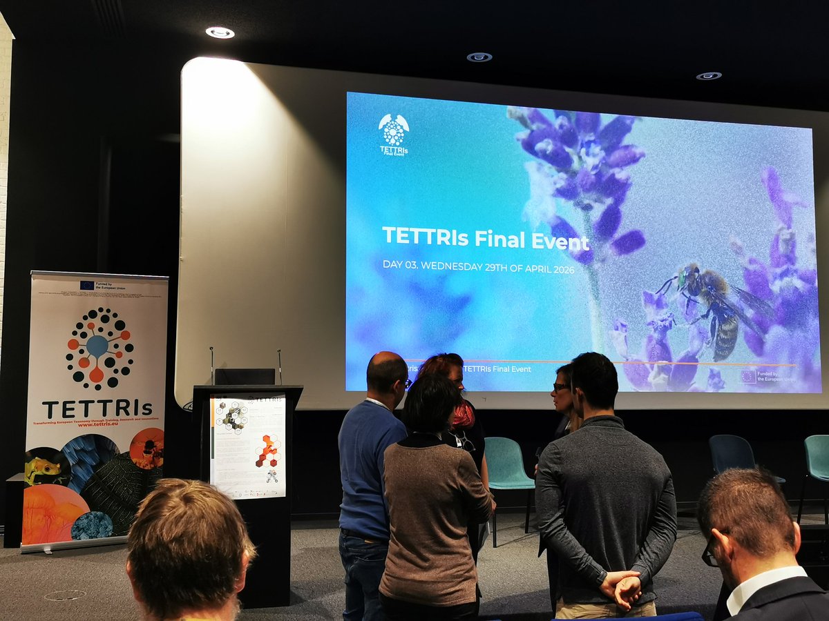 INCSTEP_EU's tweet photo. The 3rd and last day of the @TETTRIsEU Final Event has arrived!

But we still have a lot of interesting panels ahead! Stay tunned 🔜 https://t.co/EjjhQxvAar