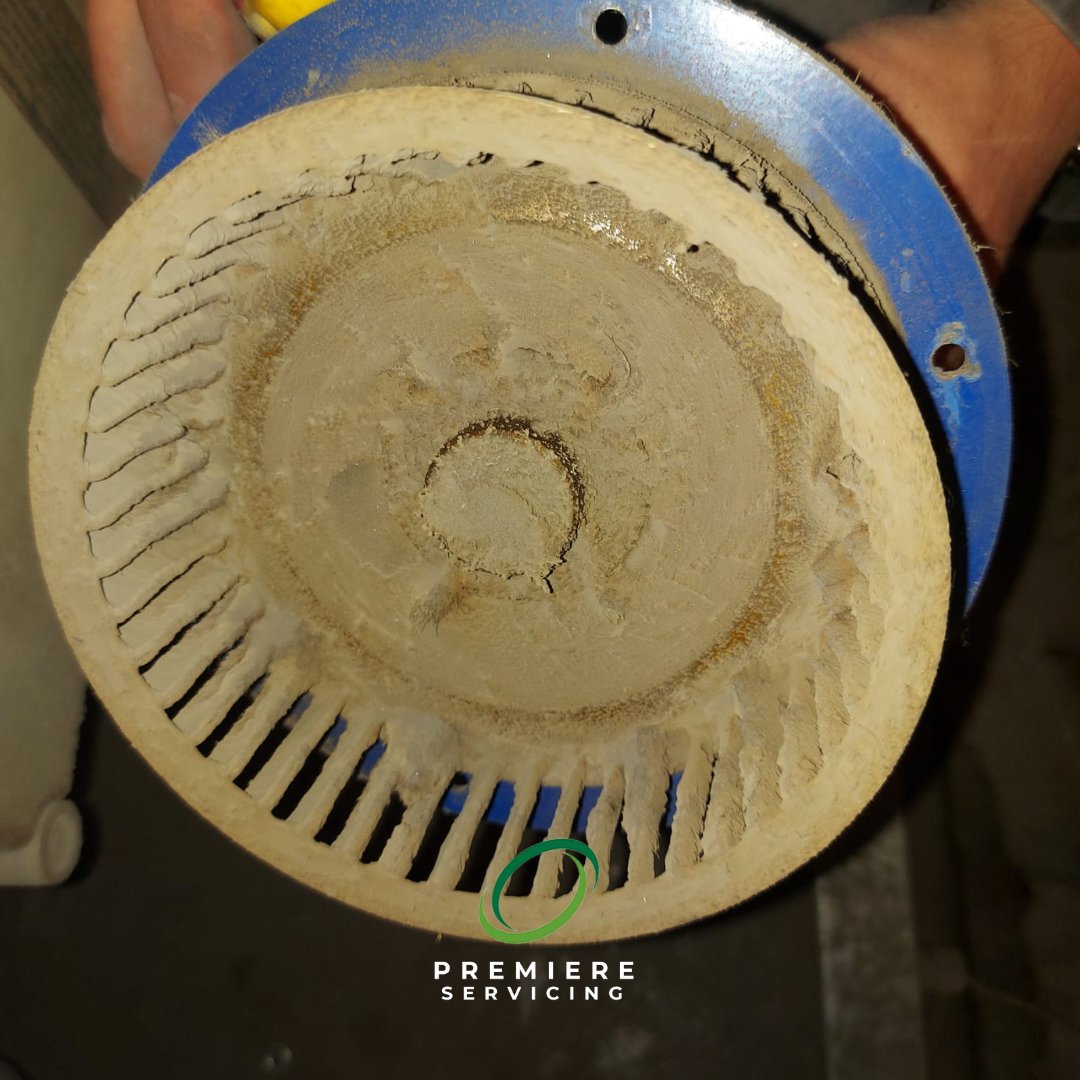 Premiere Servicing Ltd tweet media