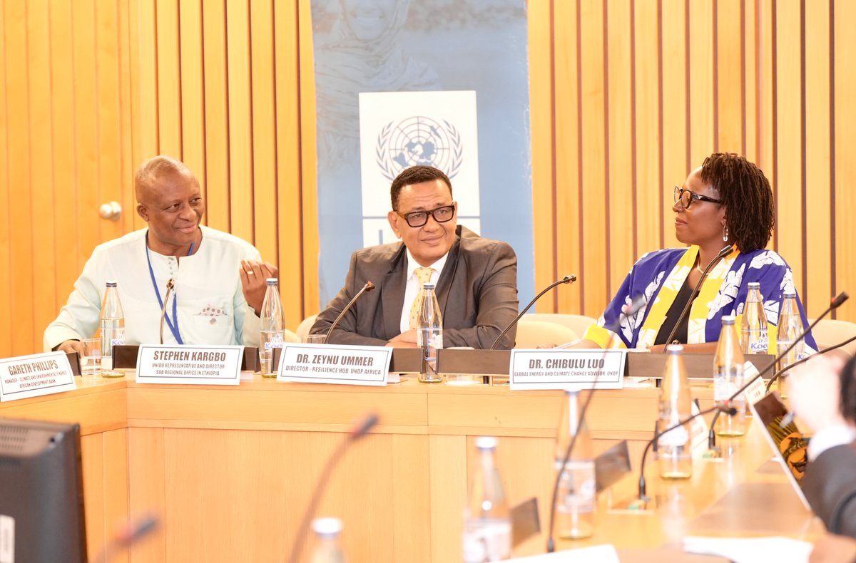UNDP Africa tweet media