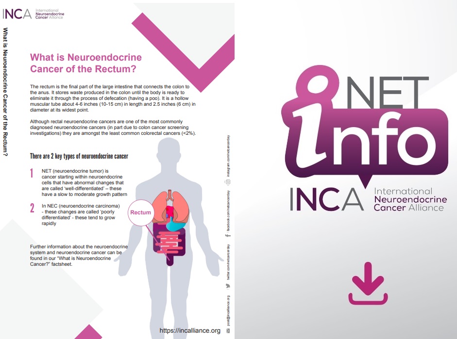 netcancerday's tweet photo. Rectal NET in early stages might not present symptoms. If symptoms are available, they may include: loss of bowel control, constipation and fatigue. 
👉Awareness of rectal NET helps early diagnosis. ✅Download #NETInfo in your language:  https://t.co/ekWhXLmpZX #LetsTalkAboutNETs https://t.co/7kBoxeWvYx
