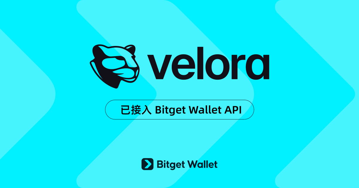 Bitget钱包中文频道 🩵 tweet media