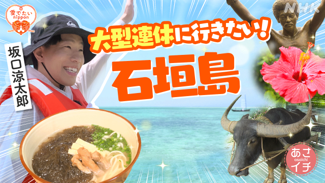 okinawa_nhk's tweet photo. アナウンサーの豊田晴萌です！
あす30(木)午前8:15～の「あさイチ」は…
大型連休！石垣島で癒やされちゃおうSP 
俳優の坂口涼太郎さんと、
離島めぐりや今が旬の天然もずくなどに注目！
みなさんのあちこーこーな思いに
たくさん触れる旅でした！
ぜひご覧ください！ https://t.co/dnf3LYVP8A