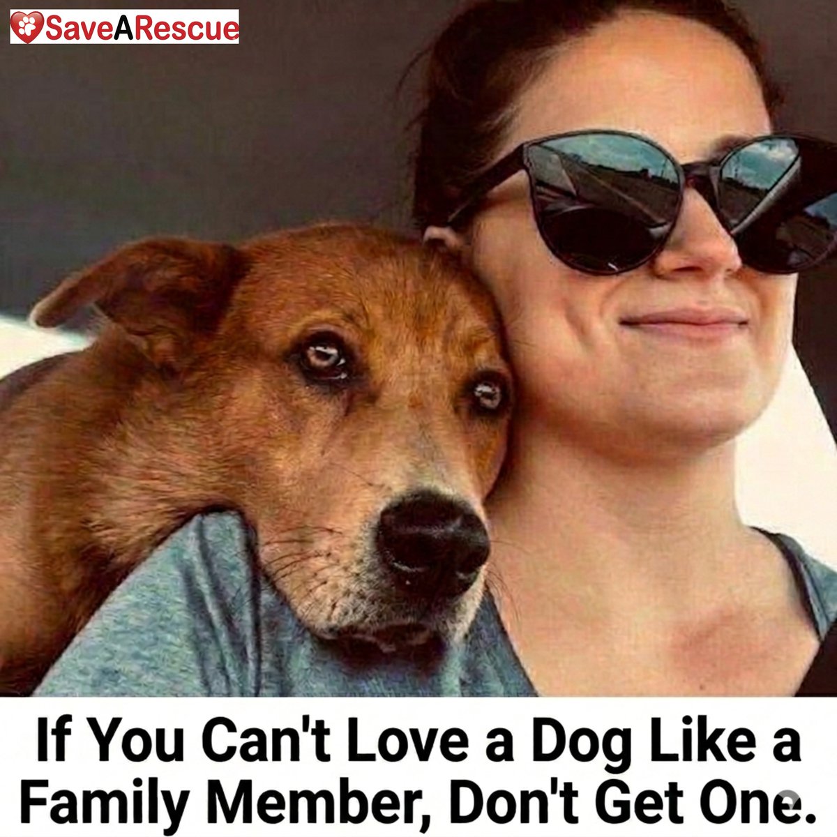 SaveARescue's tweet photo. Dogs are family, not just pets 🐾 Dog adoption is a lifelong commitment ❤️

#DogAdoption #AdoptDontShop #RescueDogs #DogLovers #DogsAreFamily https://t.co/diFEIOVMrb