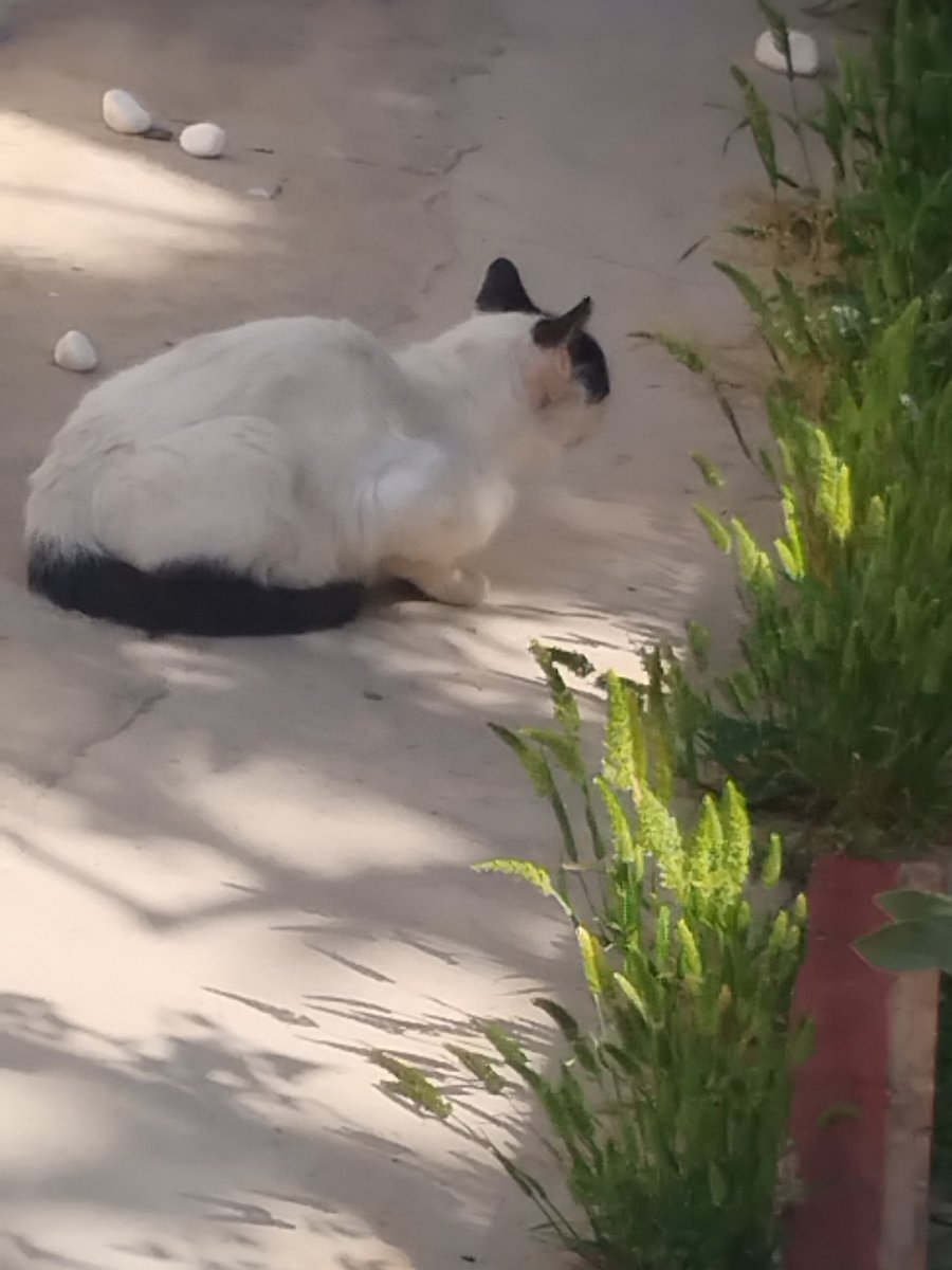 AntonisKostopou's tweet image. ΣΟΥΣΟΥΡΑΔΑ ❤️❤️❤️❤️❤️❤️❤️❤️❤️❤️❤️❤️❤️❤️❤️❤️❤️❤️❤️❤️❤️❤️❤️