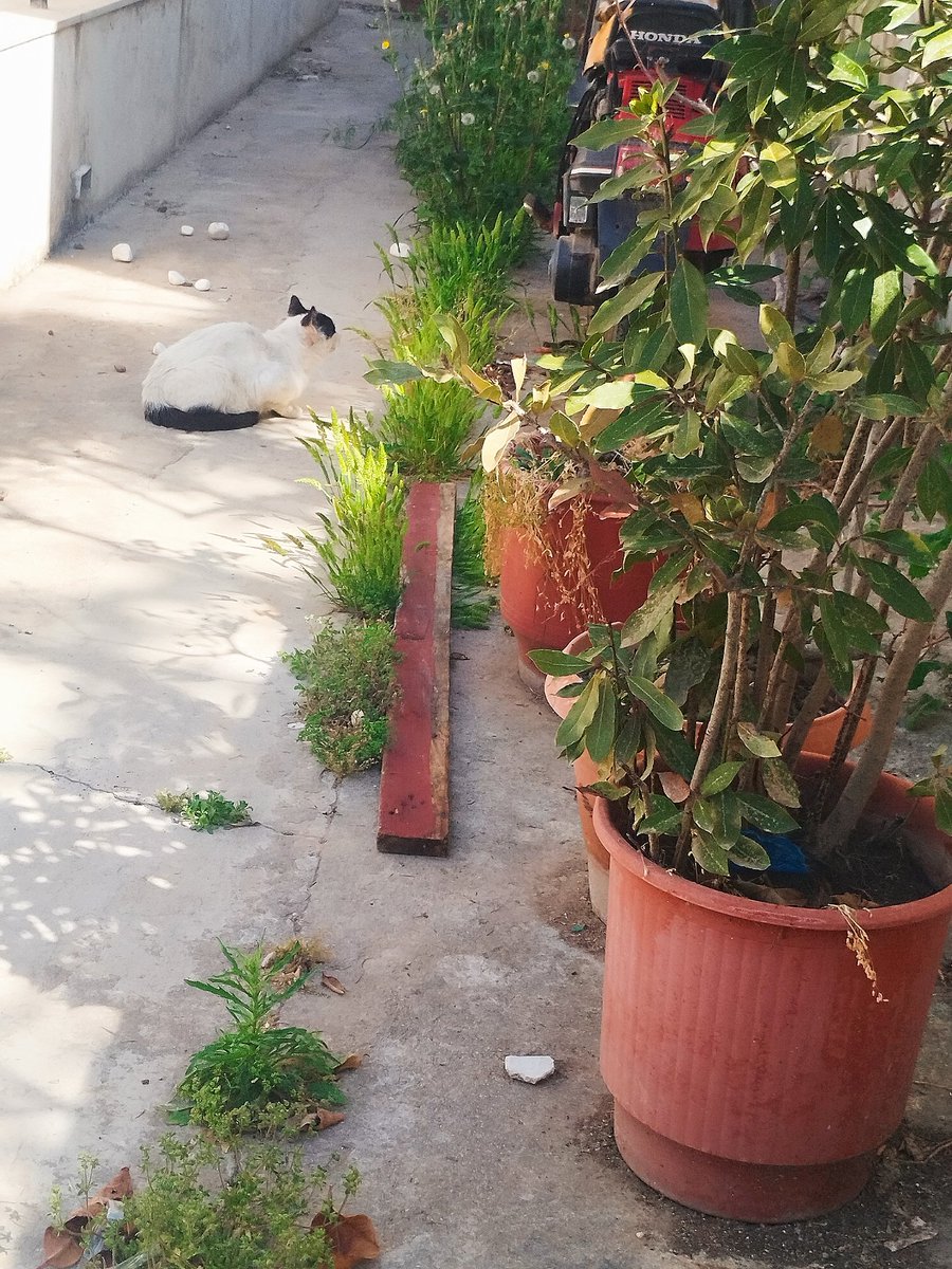 AntonisKostopou's tweet image. ΣΟΥΣΟΥΡΑΔΑ ❤️❤️❤️❤️❤️❤️❤️❤️❤️❤️❤️❤️❤️❤️❤️❤️❤️❤️❤️❤️❤️❤️❤️