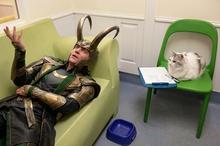 ₊˚ ୨୧ 𝐉𝐮𝐧𝐨 !! ᶻ 𝗓 𐰁 tweet media