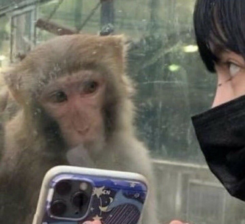 Kim Taehyung Brasil tweet media