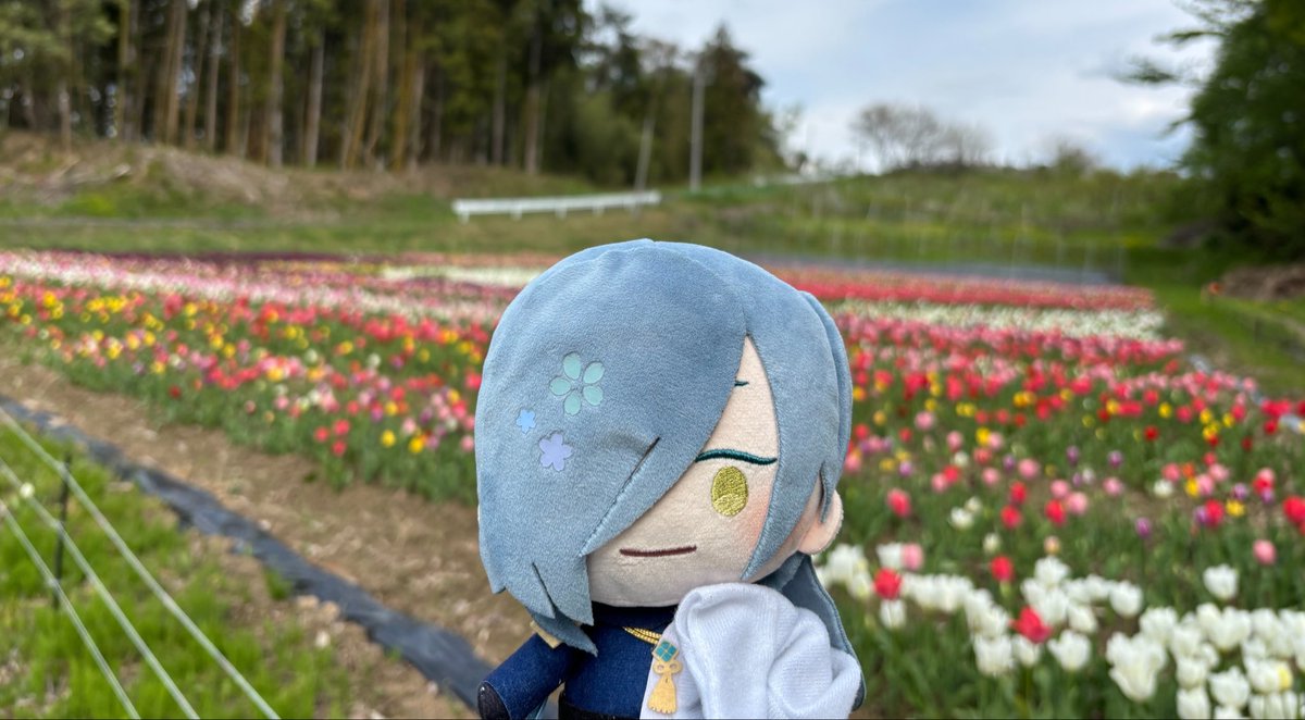 ゆしか tweet media