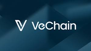 Murtagh.vet ⓥ tweet media