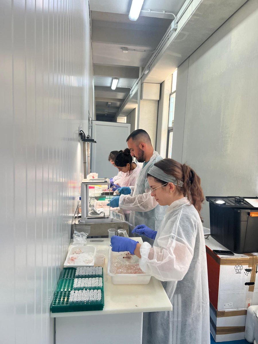 Innovación agroalimentaria - JCyL tweet media