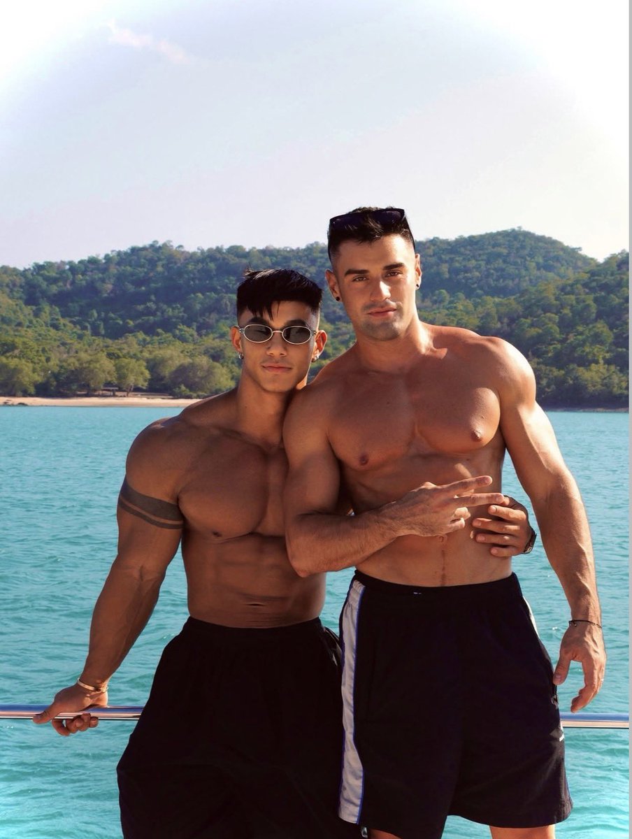 FOREST ALBUM 🏳️‍🌈 tweet media