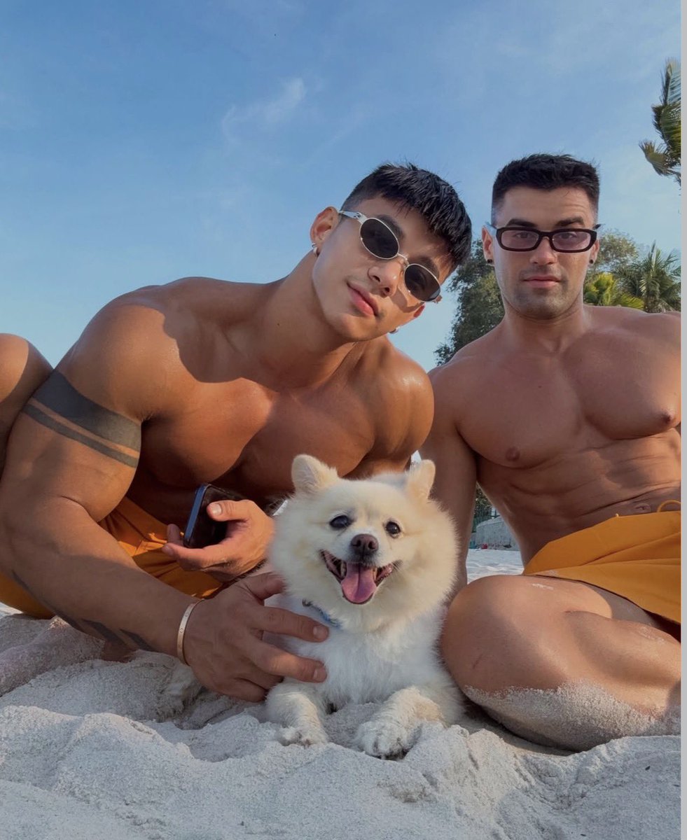 FOREST ALBUM 🏳️‍🌈 tweet media