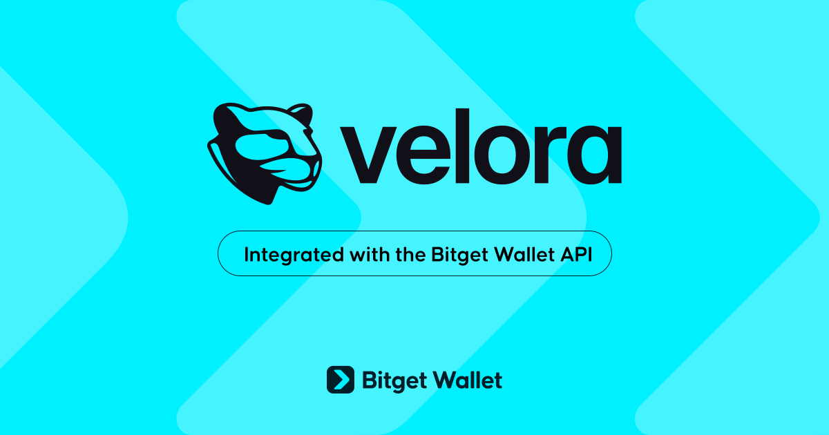 Bitget Wallet 🩵 tweet media