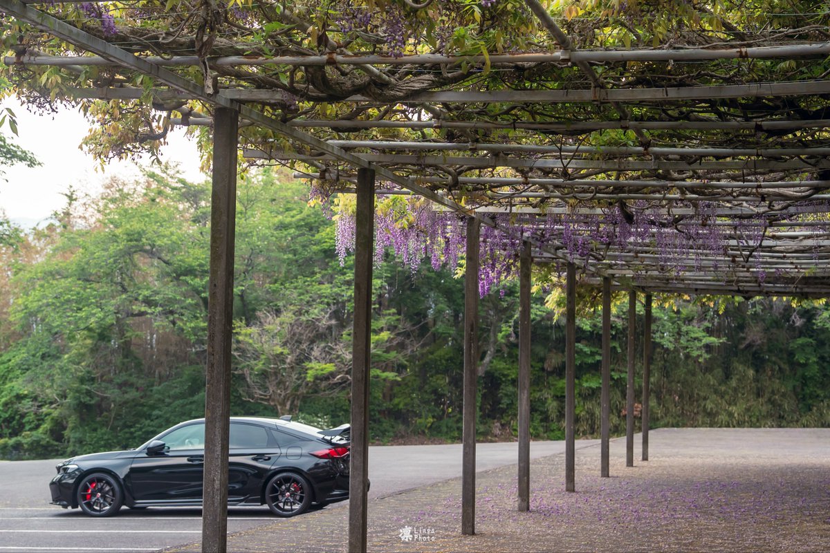 Linkin_FL5's tweet image. 愛車と藤棚を眺めに
紫の藤には「気品」・「優しさ」という花言葉があるそう
開発に携わった方々の乗り手を「慮る」想いに満ちたFL5にぴったりな花ですね✨

#CivicTypeR
#HONDA
#FL5