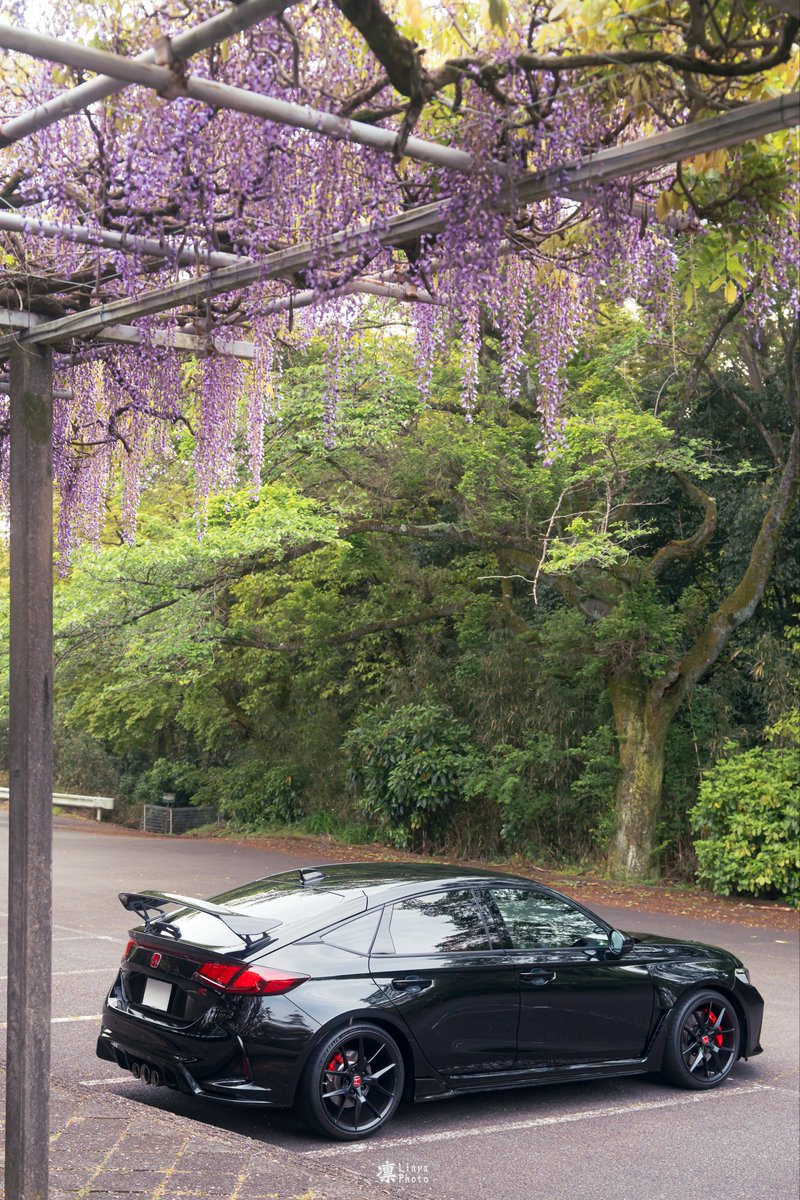 Linkin_FL5's tweet image. 愛車と藤棚を眺めに
紫の藤には「気品」・「優しさ」という花言葉があるそう
開発に携わった方々の乗り手を「慮る」想いに満ちたFL5にぴったりな花ですね✨

#CivicTypeR
#HONDA
#FL5