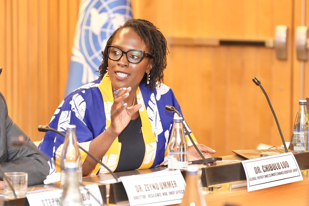 UNDP Africa tweet media