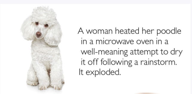 the vanda of #venustwt tweet media