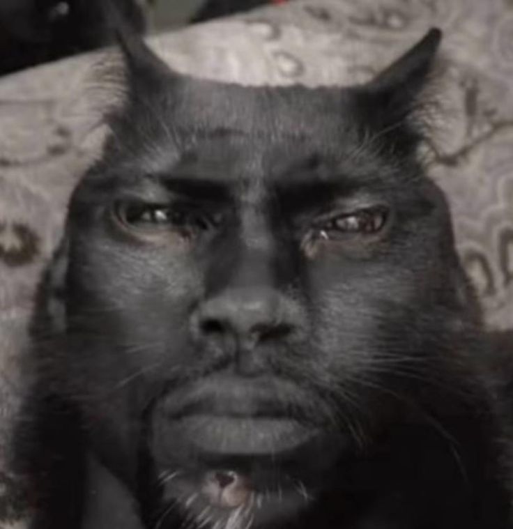 🍎applejax | #IsmaïlaSarrBallonD'or tweet media