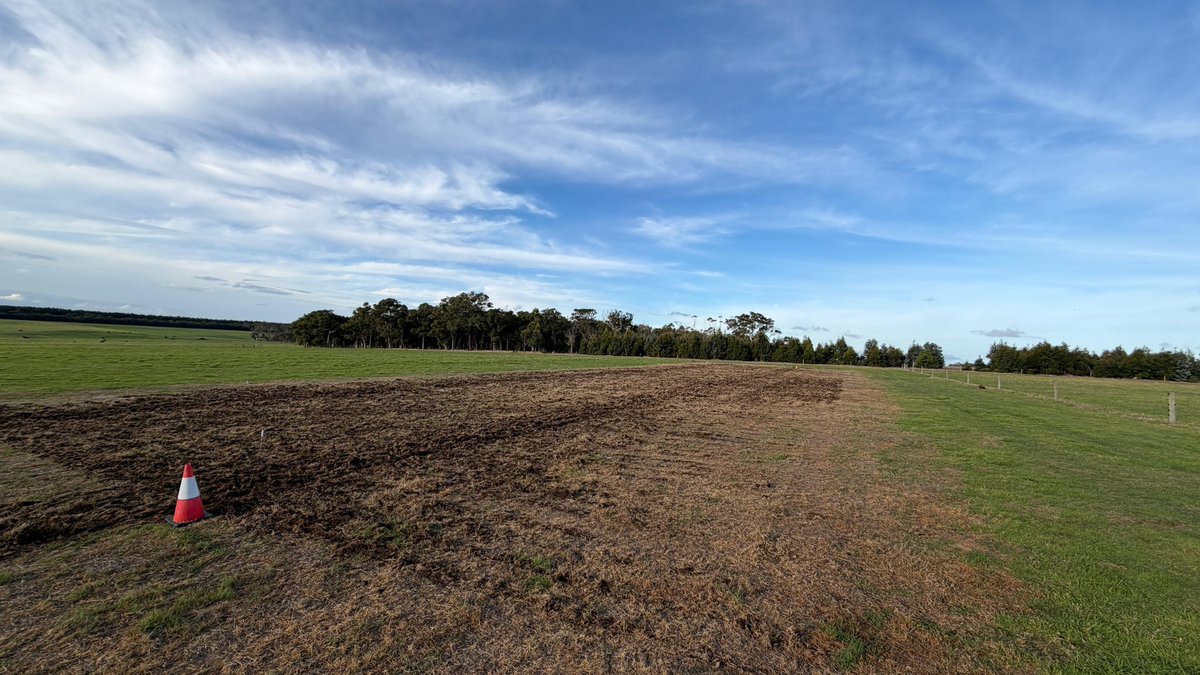 Stirlings2Coast's tweet image. It's full steam ahead for our R&amp;amp;D team with our pasture sites at Kalgan and Denbarker going in this week.

@meatlivestock #livestock #pastures #seeding2026