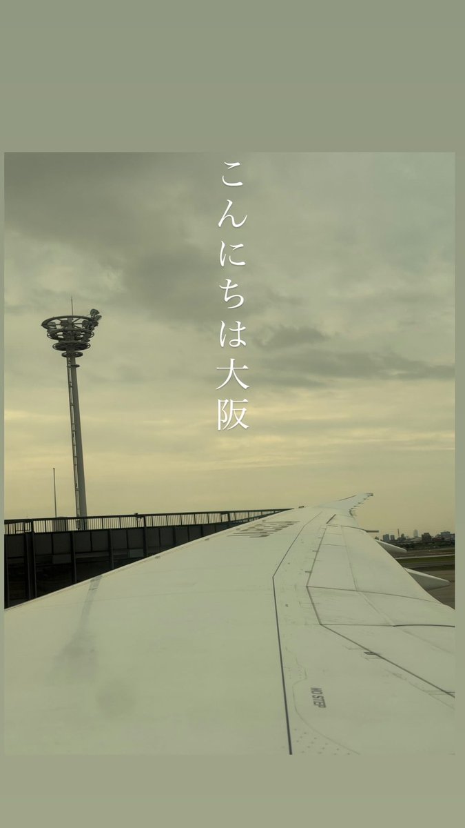 えぞたぬき tweet media