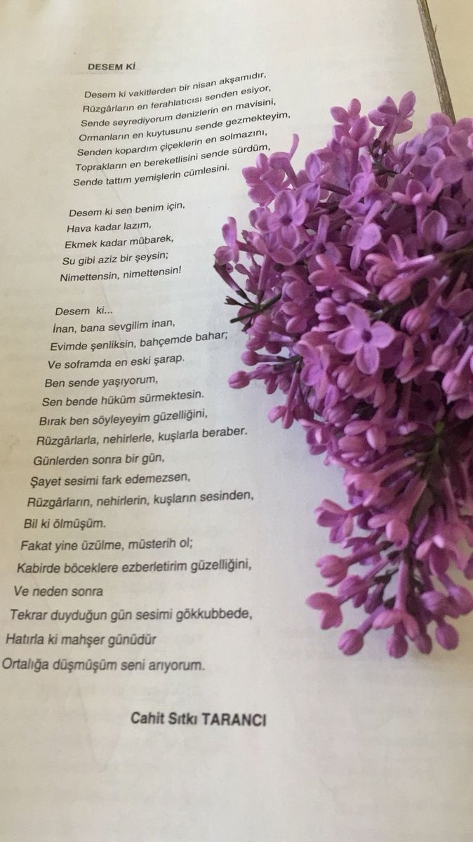 Lavin Hazal Atay tweet media