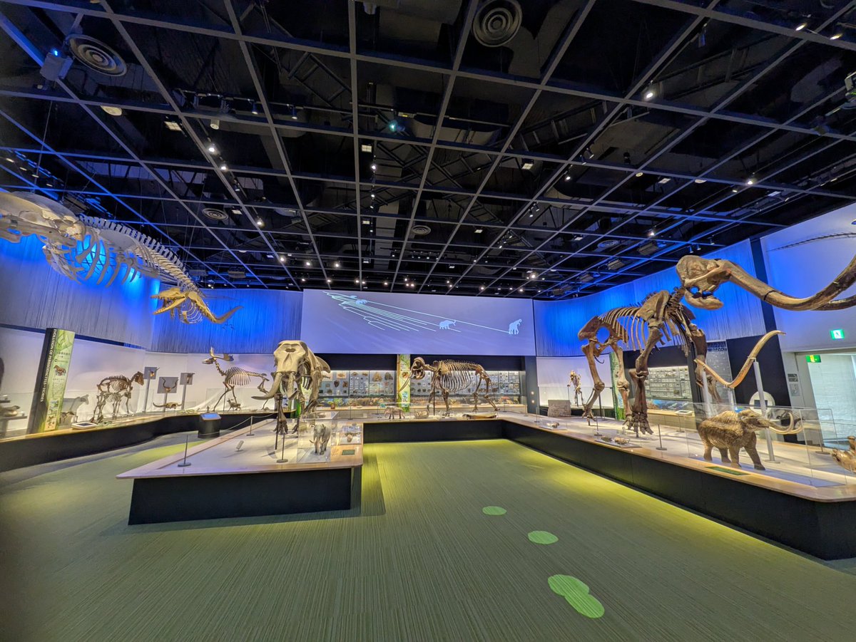 Blackbuck tweet media