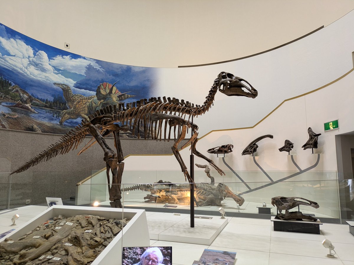 Blackbuck tweet media