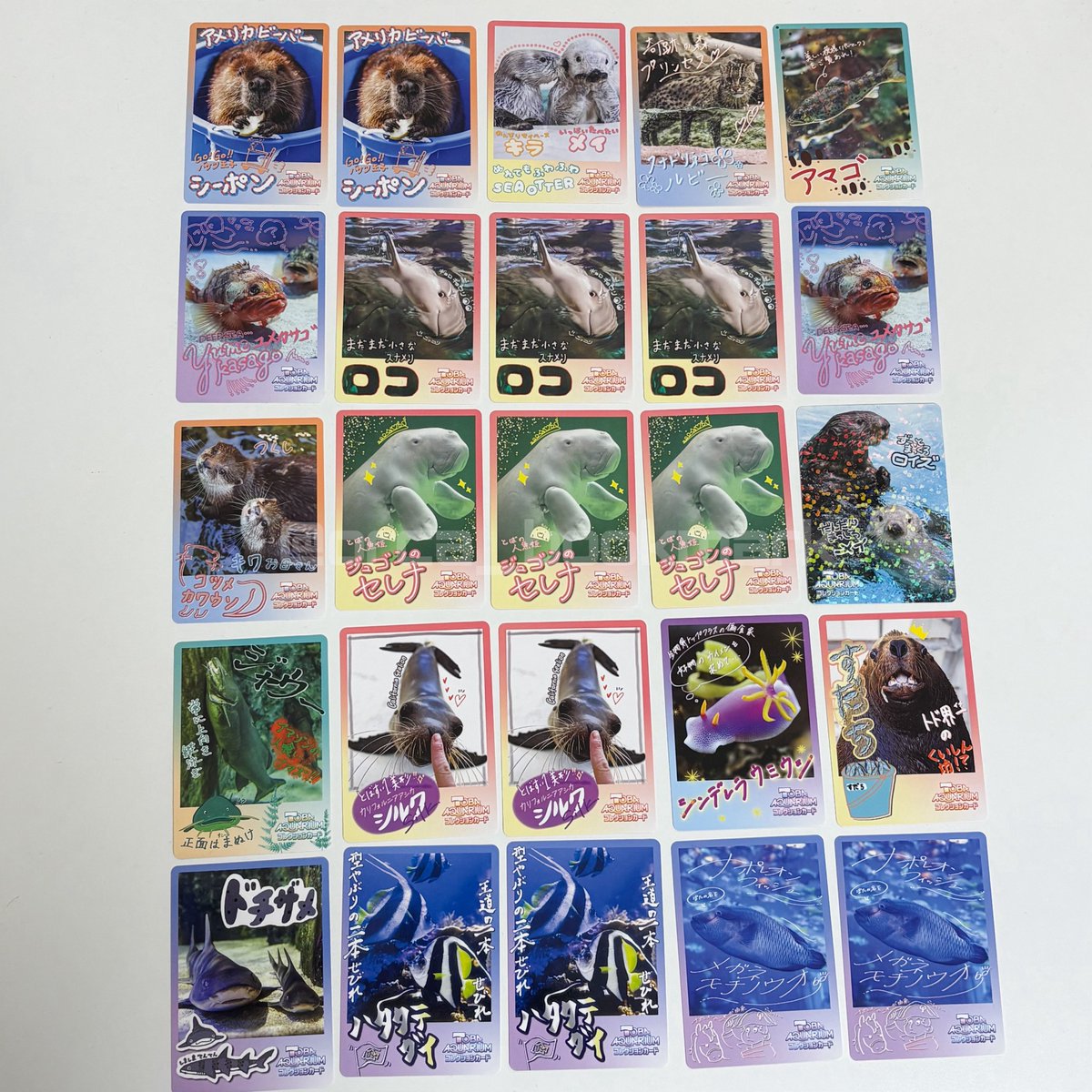 新品未開封 鳥羽水族館 コレクションカード VOL.1 絶版パック 1パック TOBA AQUARIUMコレクションカード」販売決定！ | 鳥羽水族館 公式サイト