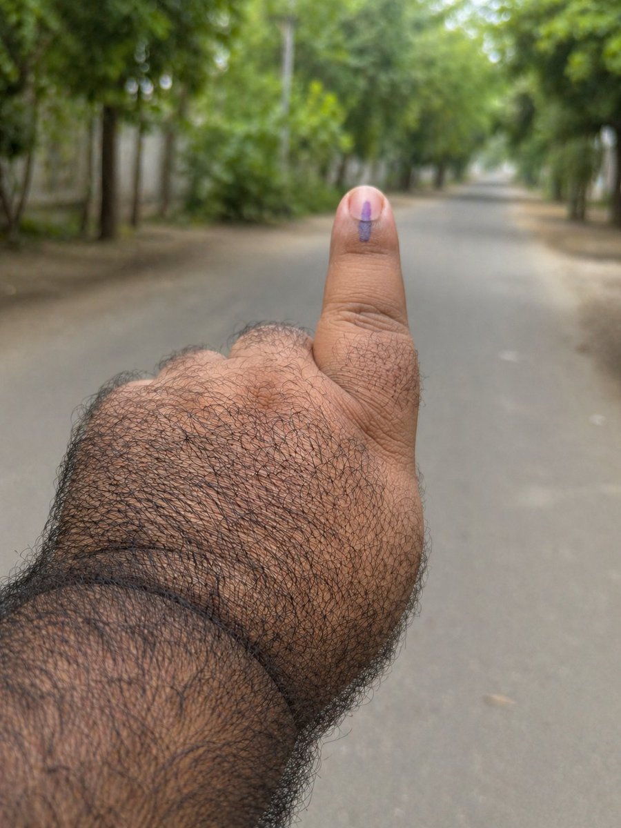 Squint Neon tweet media