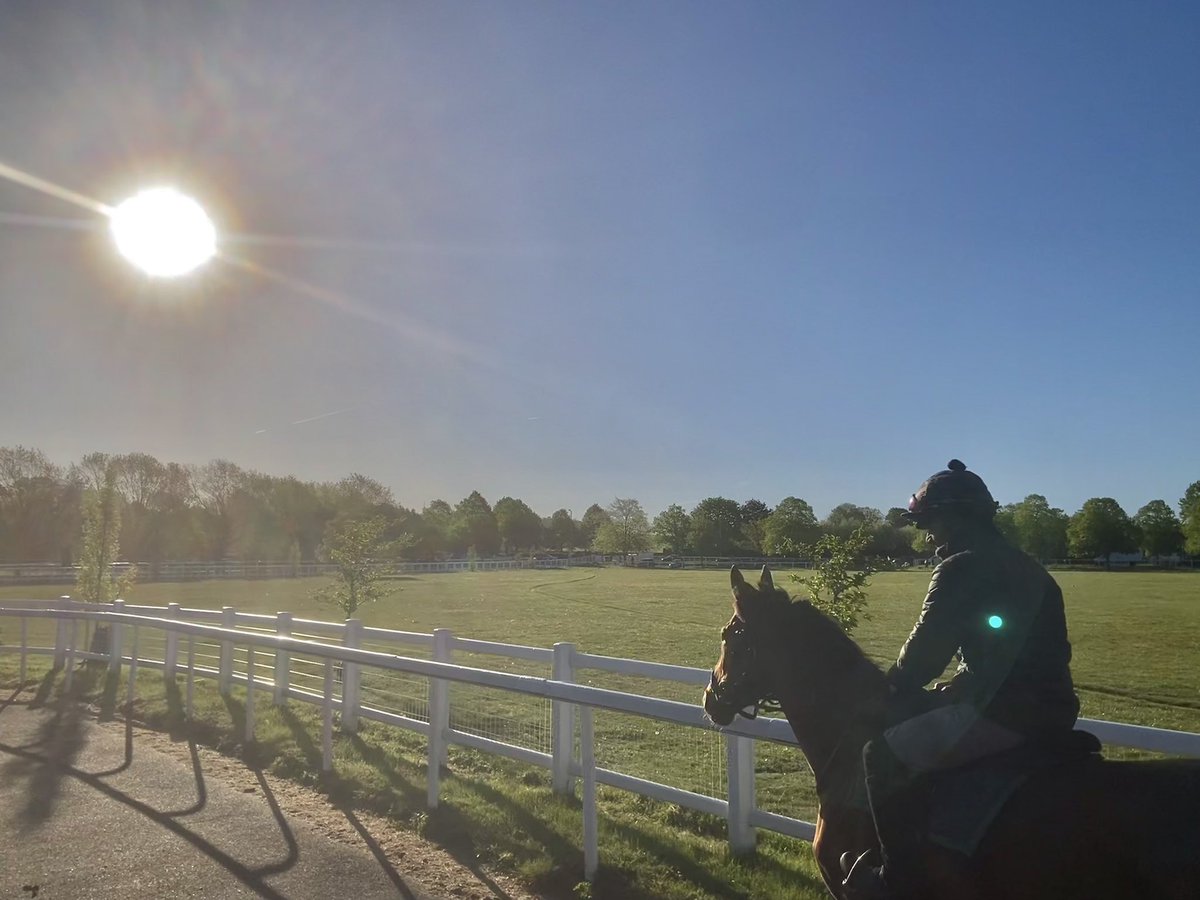 JohnWathenBerry's tweet image. We ended up with a sunny afternoon yesterday in Newmarket and it’s sunny from the outset today. Quite fresh, though, still with yesterday’s stiff easterly wind. 7 degrees at the outset but felt colder. Forecast high 17 #FlyingStar #HiddenPearl #Duchess #Clasina
