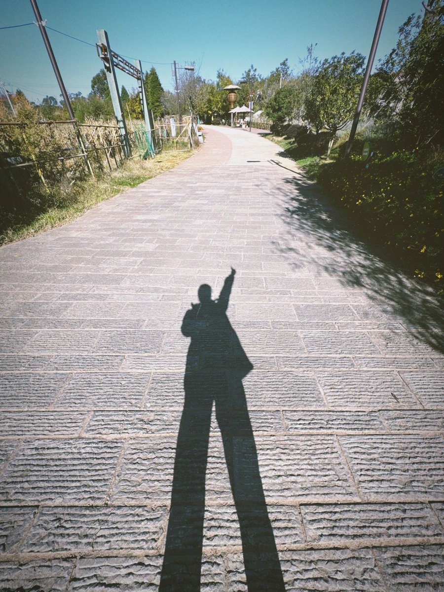 AlcasSalv's tweet image. New semester, new goals!  Fresh starts, endless possibilities—ready to learn, grow, and shine Let’s dive in! #BackToSchool #NewSemesterVibes