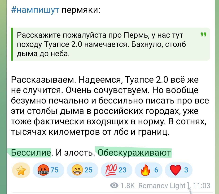 IgorGirkin tweet media