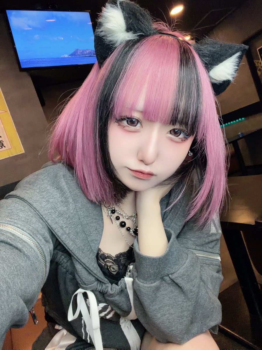 ゆね@ねこらぶ tweet media