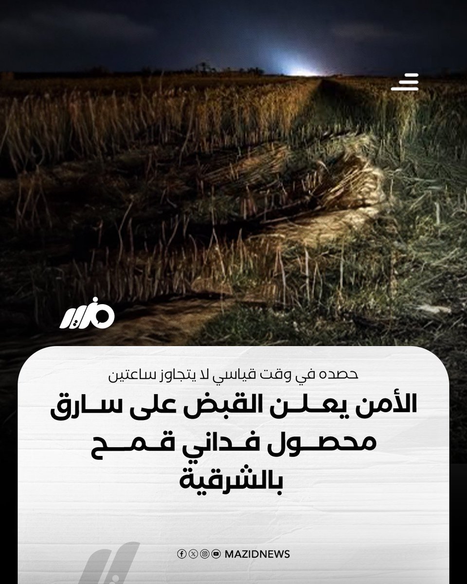 مزيد - Mazid tweet media