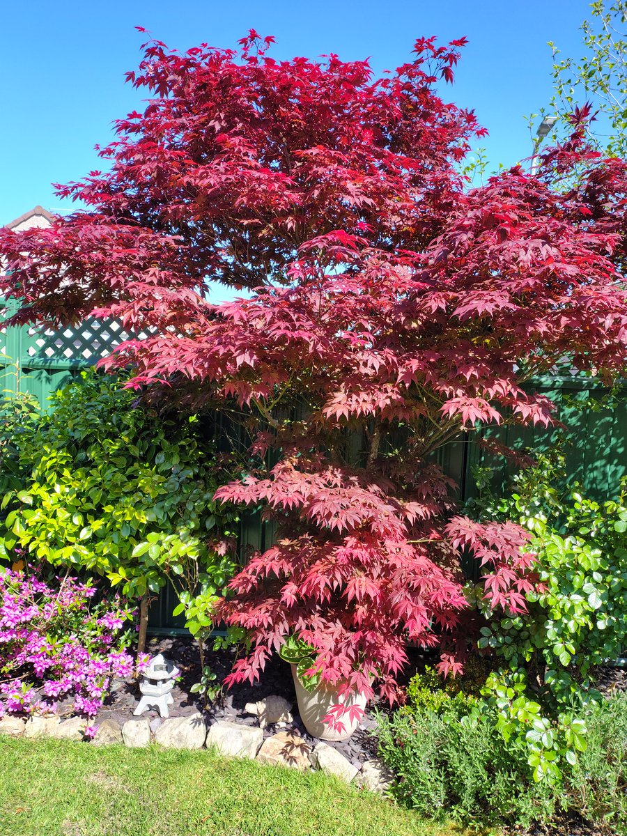 Julie 🏴󠁧󠁢󠁷󠁬󠁳󠁿Elizabeth 🏴󠁧󠁢󠁷󠁬󠁳󠁿 tweet media