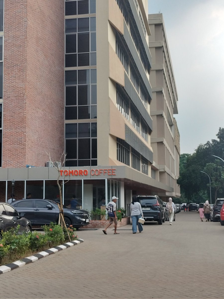 kucing salto tweet media