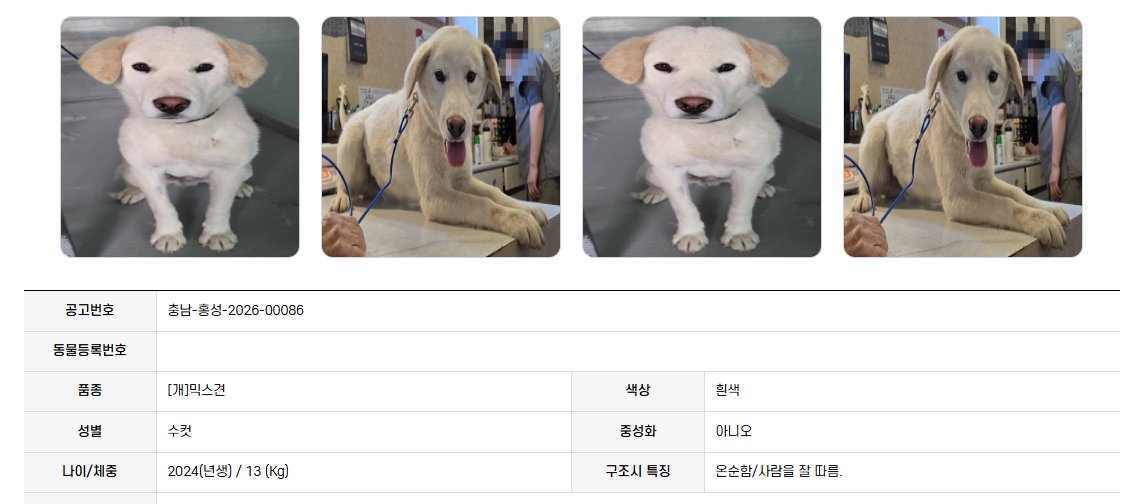 findmypaw tweet picture