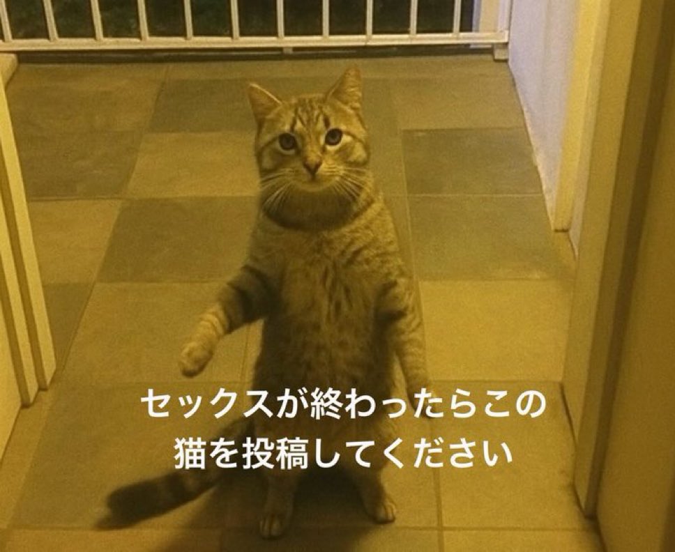 ゆにゃ tweet media