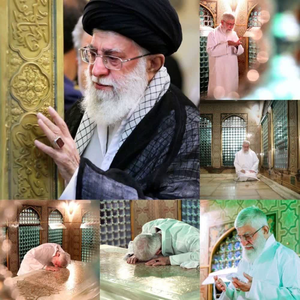 رهامحمدنیا tweet media