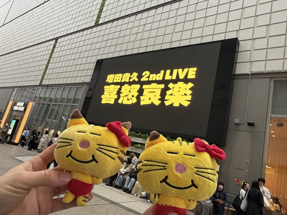 ume_umem's tweet photo. ネコますグリーティングなかなか難しい… https://t.co/rAhlOu8yVt
