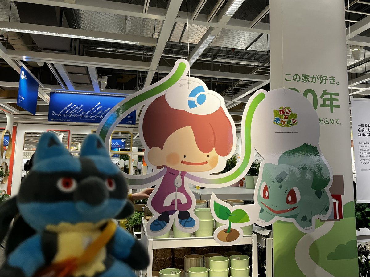 osanpo_ralts's tweet image. ルカリオとIKEAで楽しい暮らしを見つけてきました☺️

#ぽこあポケモン 
#IKEA
