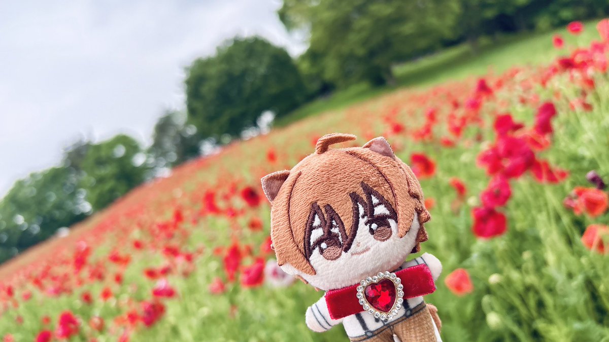 うれ🎧🐶 tweet media