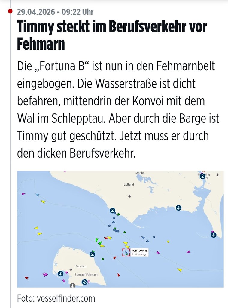 Thyrala's tweet image. 🐳 Hier ist ganz offensichtlich zu sehen, warum Timmy Geleitschutz wie die Barge braucht und es nicht allein heraus schaffen kann: derzeit steckt er nämlich im Stau! 😮
#Timmy #Hope #Rettung 🚢