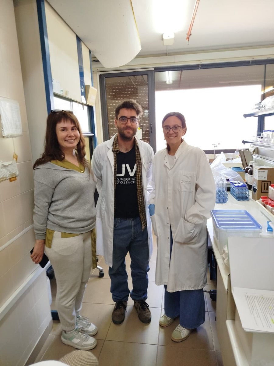 archaechemis's tweet photo. Meanwhile, our PhD candidate Andreu and Giulia, and the master student Maša are preparing their samples of sediment, bone and ceramic for ICP-MS analysis! https://t.co/fP1ibv3EWp